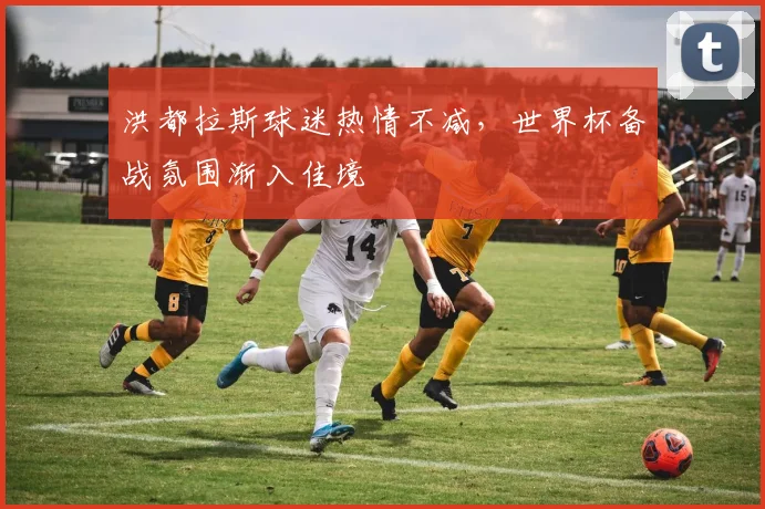 洪都拉斯球迷热情不减，世界杯备战氛围渐入佳境