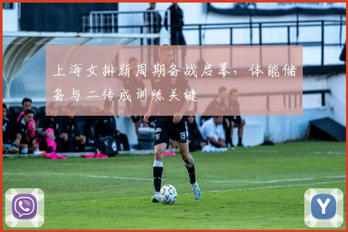 上海女排新周期备战启幕,体能储备与二传成训练关键