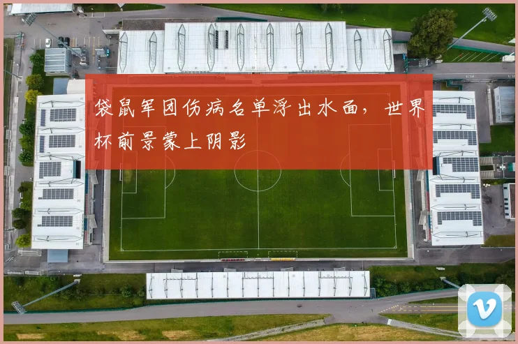 袋鼠军团伤病名单浮出水面,世界杯前景蒙上阴影